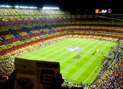 开云下载-多元竞技场上的胜利交响，德国足球的精密与桃田贤斗的火焰