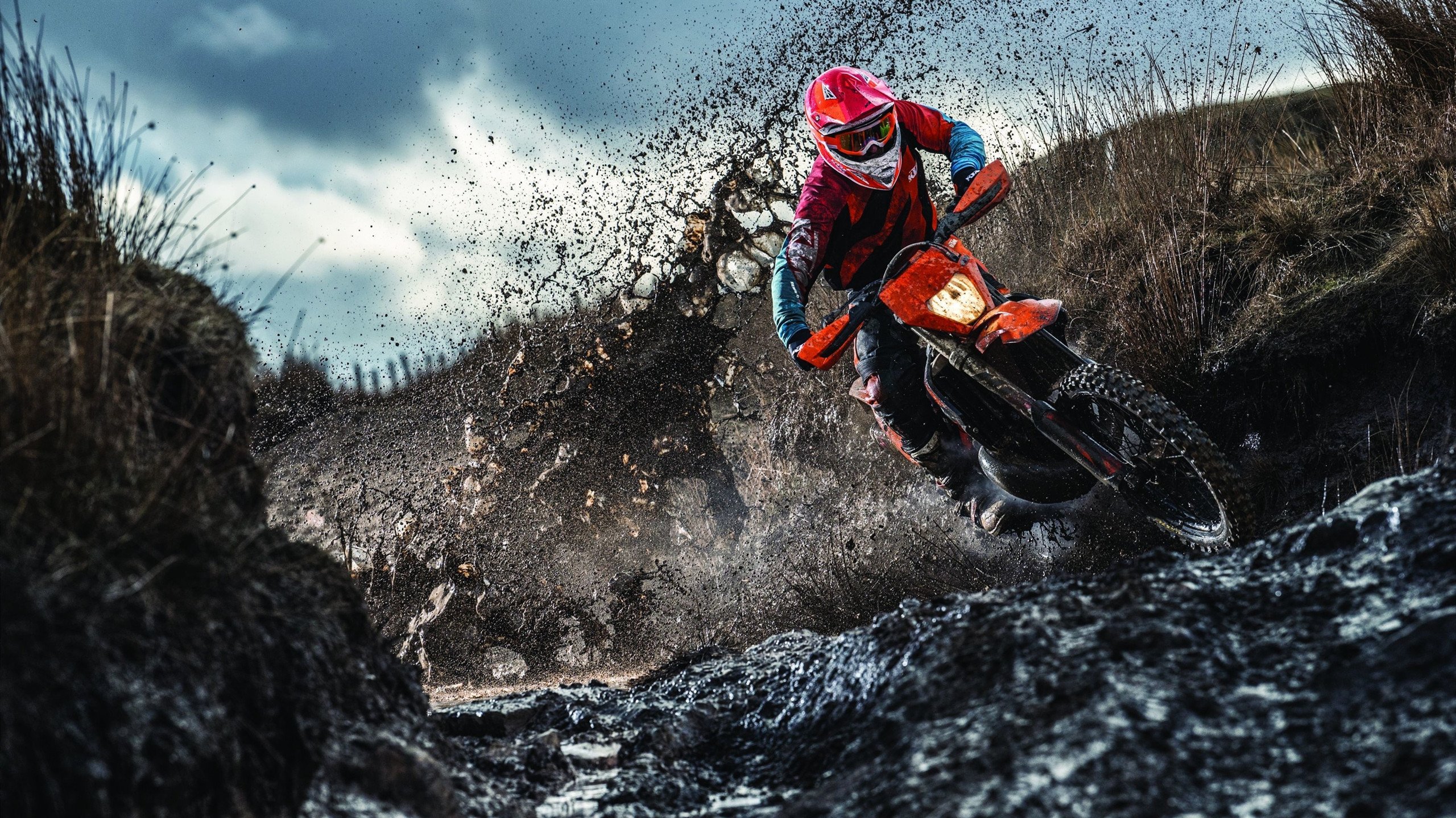 卡拉斯科节奏的魔法,牙买加如何以失控的掌控爆冷韩国